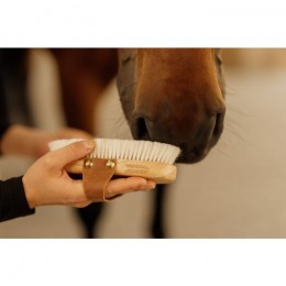 Grooming Deluxe Small Overall Brush Soft