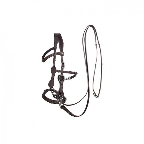 F.R.A. Hackamore Bridle Calli