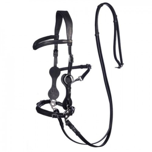 F.R.A. Hackamore Bridle Calli