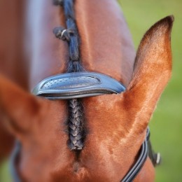 Collegiate ComFiTec Crystal Bridle