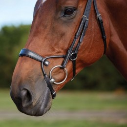 Collegiate ComFiTec Training Bridle