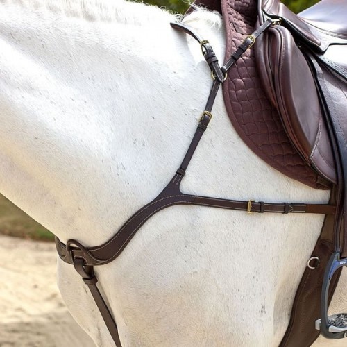 Dyon Anatomic Breastplate