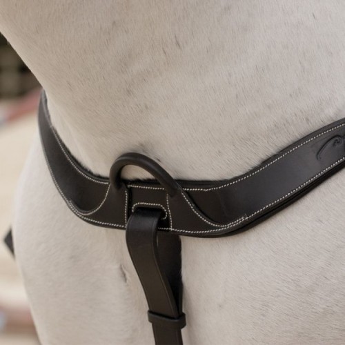 Dyon Anatomic Breastplate