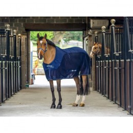 Bucas Competition Cooler Navy