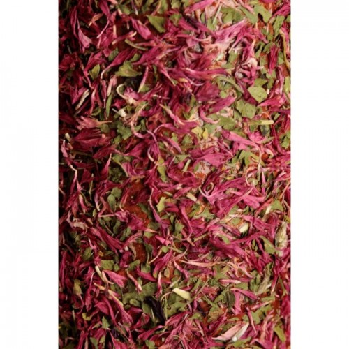 Grooming Deluxe Wooden Relax Horse Toy De-Stress