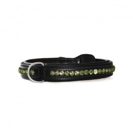 Equestrian stockholm SS'21 Deep Olivine dogcollar
