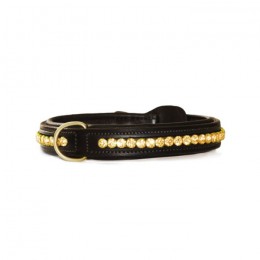 Equestrian Stockholm SS'21 Pure Gold collar