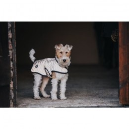 Spooks Dog Coat Reflective