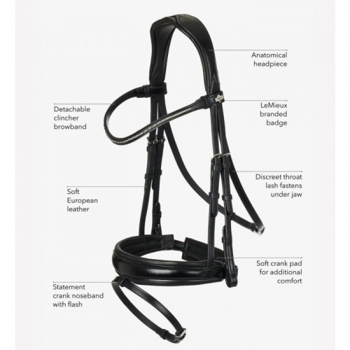 LeMieux Classic Dressage bridle