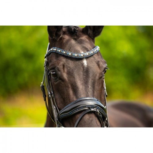 HB Showtime Bridle Las Vegas