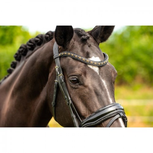 HB Showtime Bridle Las Vegas