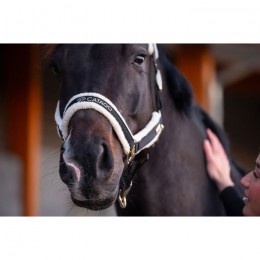 Catago FW'24 Halter Bea