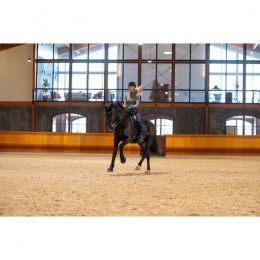 Catago FW'24 FIR-Tech Performance Saddlepad