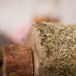 Herbi Horse Herb Wood Nibble Toy Calm