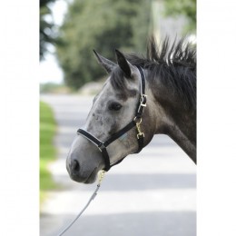 Bucas Dublin Halter Black / Silver