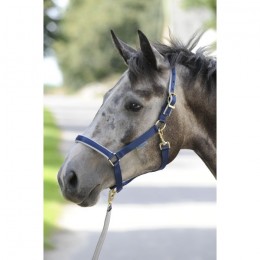 Bucas Dublin Halter Navy / Silver