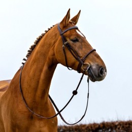 Trust dublin bridle rope noseband leather