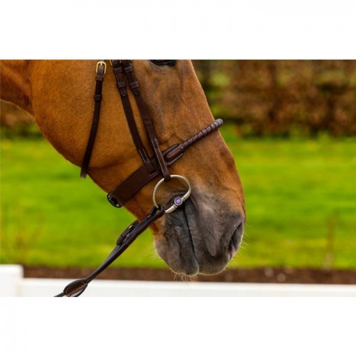 Trust dublin bridle rope noseband leather
