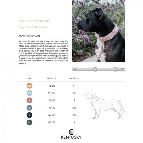 Kentucky Dog Collar Teddy Fleece