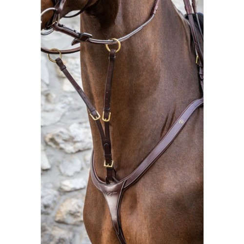Dyon Running Martingale Attachment D Collection