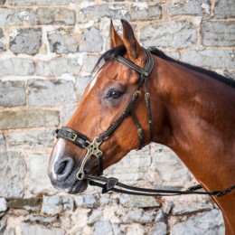 Dyon Bridle Hackamore