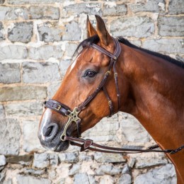 Dyon Bridle Hackamore