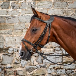 Dyon Bridle Difference D Collection