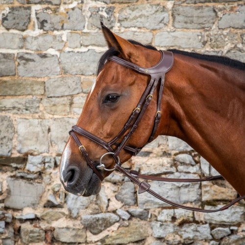 Dyon Bridle Difference D Collection