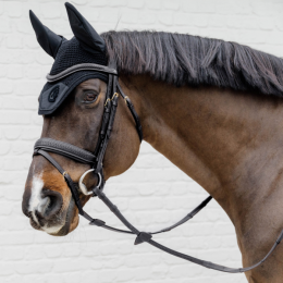 Dyon Plaited Flash Noseband Bridle with Pull back D Collection