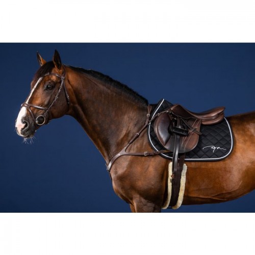 Dyon Anatomical Breastplate US Jumping Collection