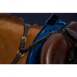 Dyon Bridge Breastplate Working By Dyon Collection