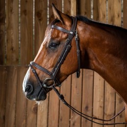 Dyon Flash Noseband Bridle with Snap Hooks Working Collection