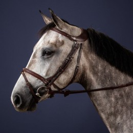 Dyon Bridle Difference New English Collection
