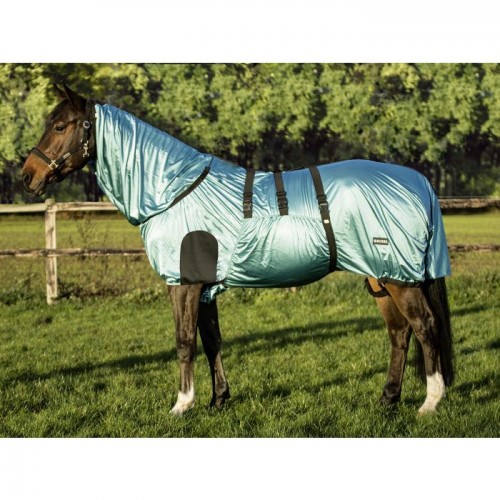 Busse Eczema Rug Strong