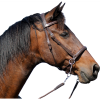 F.R.A. Bitless bridle El Camin