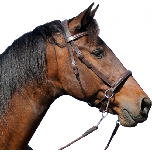 F.R.A. Bitless bridle El Camin