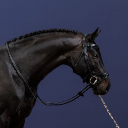 Dyon Bridle X-fit New English Collection