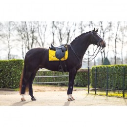 Equestrian Stockholm x HypoStore Golden Night Dressage Saddle Pad