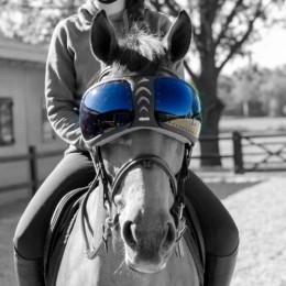 eQuick eVysor Lenses