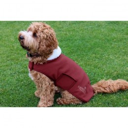 Equestrian Stockholm Dog Rug Bordeaux