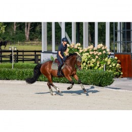 Eskadron SS25 Classic Saddlepad Mesh