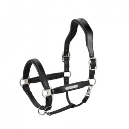 Eskadron Halter leather stallion