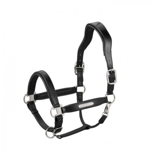 Eskadron Halter leather stallion