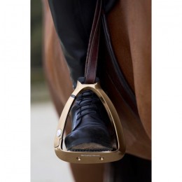 Samshield Shield'Rup Brushed Champagne safety stirrups