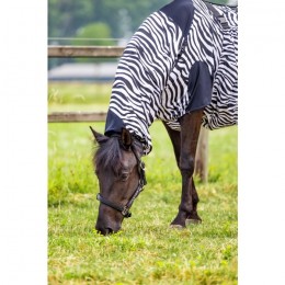 MASTER Zebra UV Eczema Rug