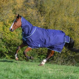 Bucas Atlantic Exclusive   Neck