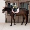 Kentucky Sparkling Dressage Saddle Pad