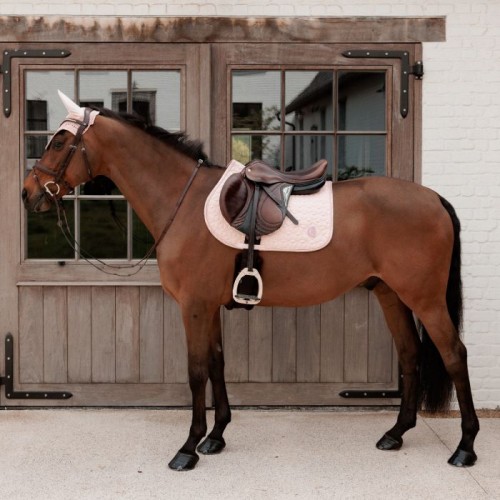 Kentucky Sparkling Jumping Saddle Pad