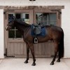 Kentucky Sparkling Dressage Saddle Pad