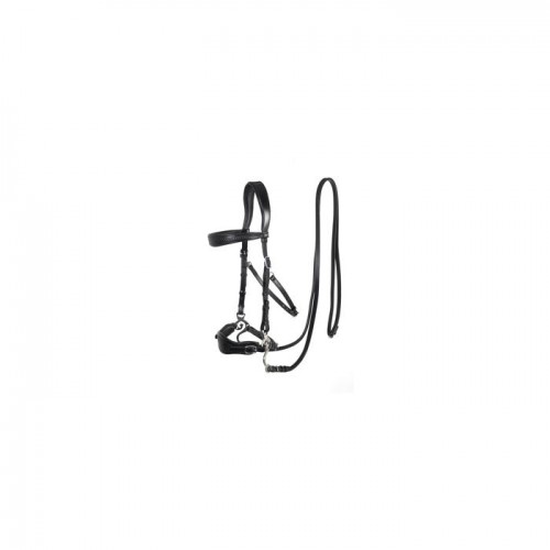 F.R.A. Hackamore Bridle Fiore